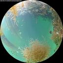 ./images/calvert/underwater/20260829/underwater20260829_182002M.jpg