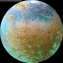 ./images/calvert/underwater/20260829/underwater20260829_184001M.jpg