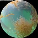 ./images/calvert/underwater/20260829/underwater20260829_185502M.jpg