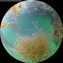 ./images/calvert/underwater/20260829/underwater20260829_190001M.jpg