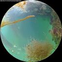 ./images/calvert/underwater/20260829/underwater20260829_191501M.jpg