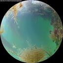 ./images/calvert/underwater/20260829/underwater20260829_193001M.jpg