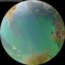 ./images/calvert/underwater/20260829/underwater20260829_193502M.jpg