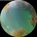 ./images/calvert/underwater/20260829/underwater20260829_194001M.jpg