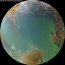 ./images/calvert/underwater/20260829/underwater20260829_195001M.jpg