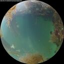 ./images/calvert/underwater/20260829/underwater20260829_200002M.jpg