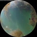 ./images/calvert/underwater/20260829/underwater20260829_201001M.jpg