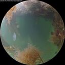./images/calvert/underwater/20260829/underwater20260829_201501M.jpg
