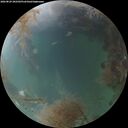 ./images/calvert/underwater/20260829/underwater20260829_202502M.jpg