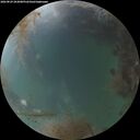 ./images/calvert/underwater/20260829/underwater20260829_203001M.jpg