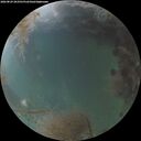 ./images/calvert/underwater/20260829/underwater20260829_203501M.jpg