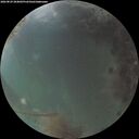./images/calvert/underwater/20260829/underwater20260829_204001M.jpg