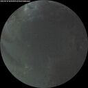 ./images/calvert/underwater/20260830/underwater20260830_062001M.jpg