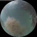 ./images/calvert/underwater/20260830/underwater20260830_063001M.jpg