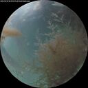 ./images/calvert/underwater/20260830/underwater20260830_063501M.jpg