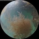 ./images/calvert/underwater/20260830/underwater20260830_064502M.jpg