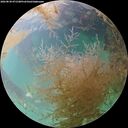 ./images/calvert/underwater/20260830/underwater20260830_071501M.jpg