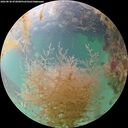 ./images/calvert/underwater/20260830/underwater20260830_072001M.jpg
