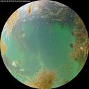 ./images/calvert/underwater/20260830/underwater20260830_075501M.jpg