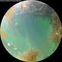 ./images/calvert/underwater/20260830/underwater20260830_080001M.jpg