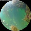 ./images/calvert/underwater/20260830/underwater20260830_084501M.jpg