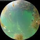 ./images/calvert/underwater/20260830/underwater20260830_085501M.jpg