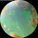 ./images/calvert/underwater/20260830/underwater20260830_091001M.jpg