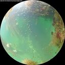 ./images/calvert/underwater/20260830/underwater20260830_092001M.jpg