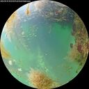 ./images/calvert/underwater/20260830/underwater20260830_092502M.jpg