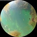 ./images/calvert/underwater/20260830/underwater20260830_095001M.jpg