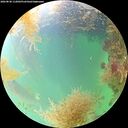 ./images/calvert/underwater/20260830/underwater20260830_112002M.jpg