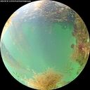 ./images/calvert/underwater/20260830/underwater20260830_113501M.jpg