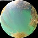 ./images/calvert/underwater/20260830/underwater20260830_130001M.jpg