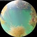 ./images/calvert/underwater/20260830/underwater20260830_131001M.jpg