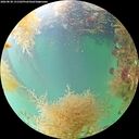 ./images/calvert/underwater/20260830/underwater20260830_131502M.jpg