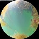 ./images/calvert/underwater/20260830/underwater20260830_132001M.jpg