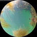 ./images/calvert/underwater/20260830/underwater20260830_133001M.jpg
