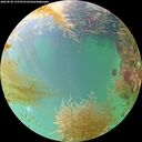 ./images/calvert/underwater/20260830/underwater20260830_133501M.jpg