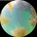 ./images/calvert/underwater/20260830/underwater20260830_134001M.jpg
