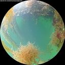 ./images/calvert/underwater/20260830/underwater20260830_141001M.jpg