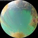 ./images/calvert/underwater/20260830/underwater20260830_142001M.jpg