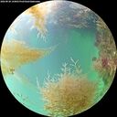 ./images/calvert/underwater/20260830/underwater20260830_144001M.jpg
