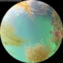./images/calvert/underwater/20260830/underwater20260830_144501M.jpg