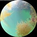 ./images/calvert/underwater/20260830/underwater20260830_145002M.jpg