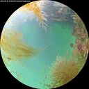 ./images/calvert/underwater/20260830/underwater20260830_150002M.jpg