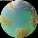 ./images/calvert/underwater/20260830/underwater20260830_151001M.jpg