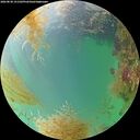 ./images/calvert/underwater/20260830/underwater20260830_151501M.jpg