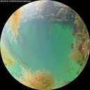./images/calvert/underwater/20260830/underwater20260830_152002M.jpg