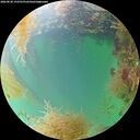 ./images/calvert/underwater/20260830/underwater20260830_152501M.jpg