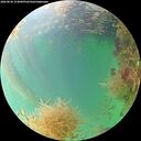 ./images/calvert/underwater/20260830/underwater20260830_153001M.jpg